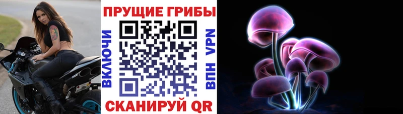Галлюциногенные грибы мухоморы  Костерёво 