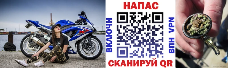 где можно купить наркотик Костерёво Каннабис индика